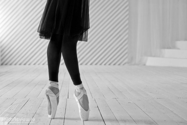 Danse Classique, балетная студия, классический танец и балет для детей от 3 лет и взрослых в Нижегородском районе, Нижний Новгород