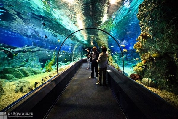 Sochi Discovery World Aquarium, океанариум, кафе, Сочи