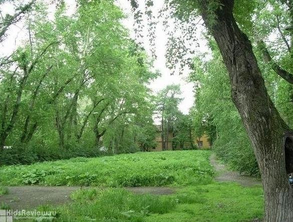 Екатеринбург сад вайнера фото