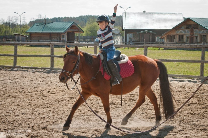 Верховая езда для детей. Верховая езда мальчик. Конный спорт для детей. Что такое темп верховая езда. Обучение верховой езде.